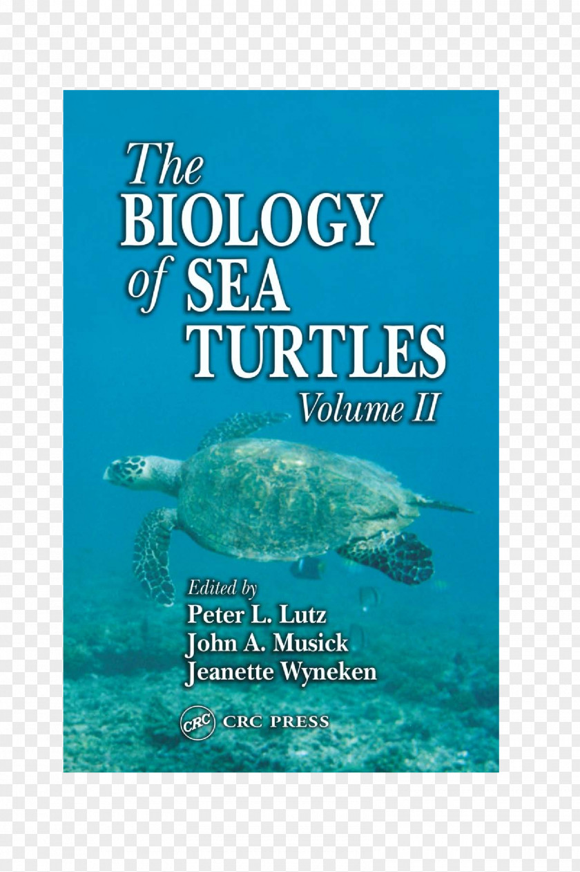 Turtle The Biology Of Sea Turtles Marine PNG