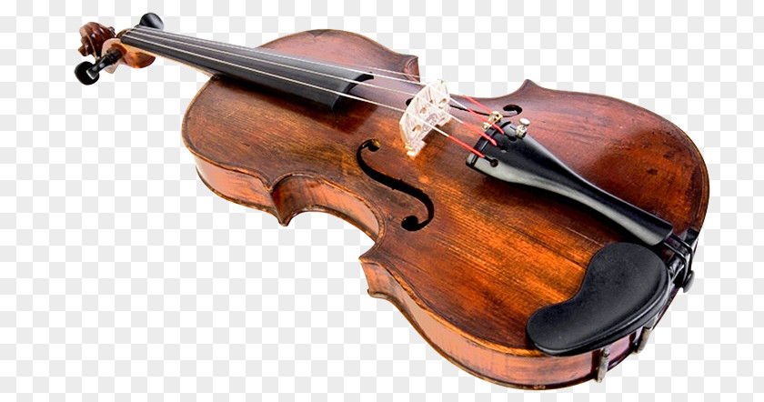 Violin Bass Musical Instruments String PNG