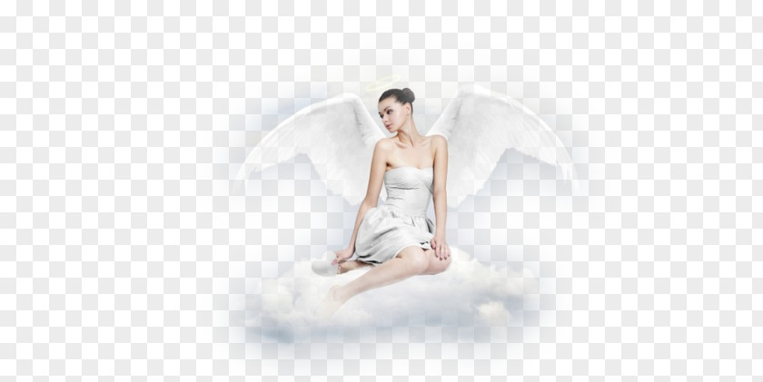 Angels Wings Vector Angel M PNG