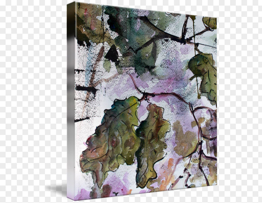 Leaves Watercolor Tree Leaf Plant Lilac PNG