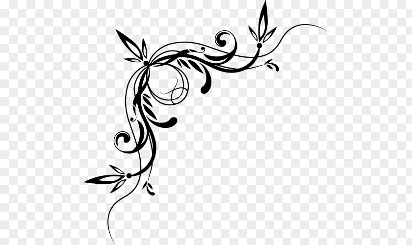 Plant Tail Decorative Borders PNG