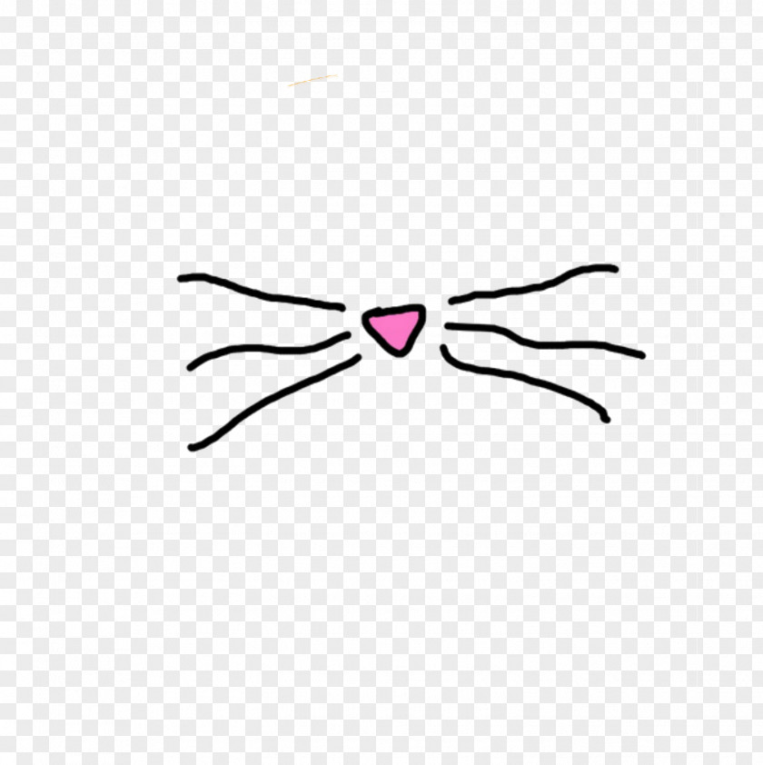 Whisk Cat Whiskers We Heart It Mammal PNG