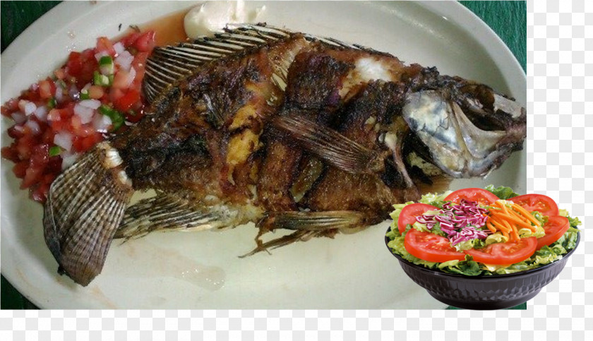 Fish Papaloapan Region Pescado Frito Ikan Bakar Food Tlayuda PNG