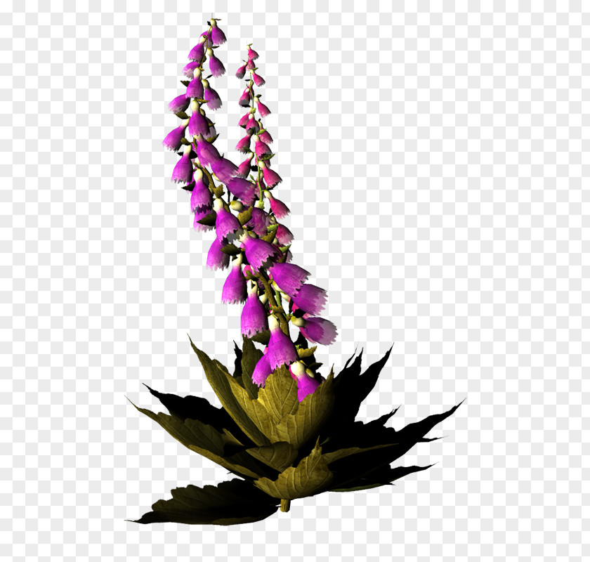 Flower Floral Design Cut Flowers Blume PNG