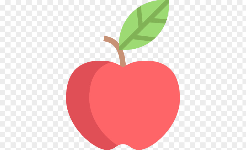 Fruit Icon Apple Food PNG