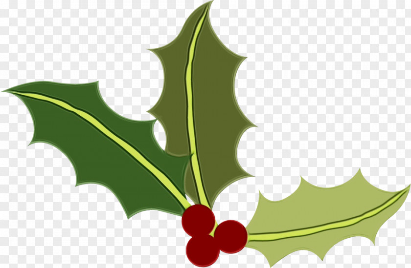 Hollyleaf Cherry Plane Christmas Tree Background PNG