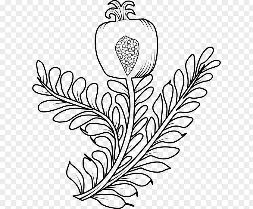 Pomegranate Vector Art Heraldry Floral Design Plant Stem Clip PNG