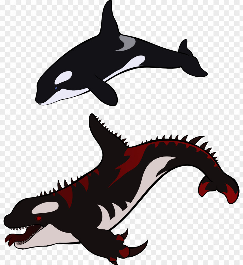 Shark Killer Whale Dolphin Whales Cetaceans PNG