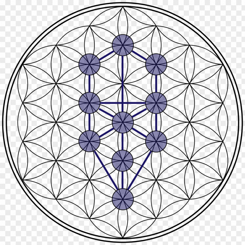 Stage Tree Of Life Sacred Geometry Overlapping Circles Grid PNG