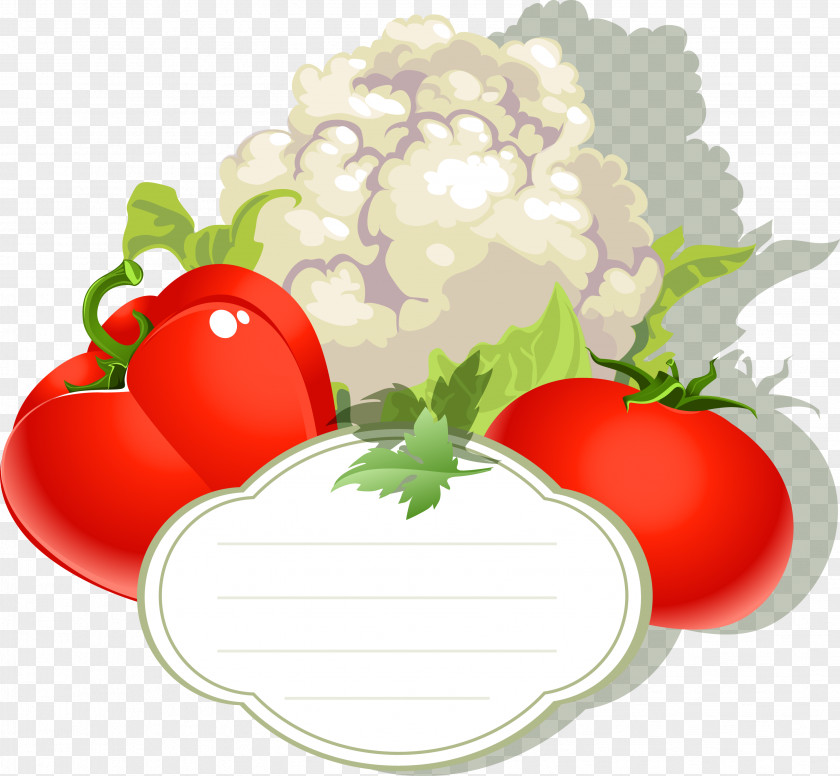 Vector Label Cauliflower Vegetable Fruit Capsicum Annuum Tomato PNG