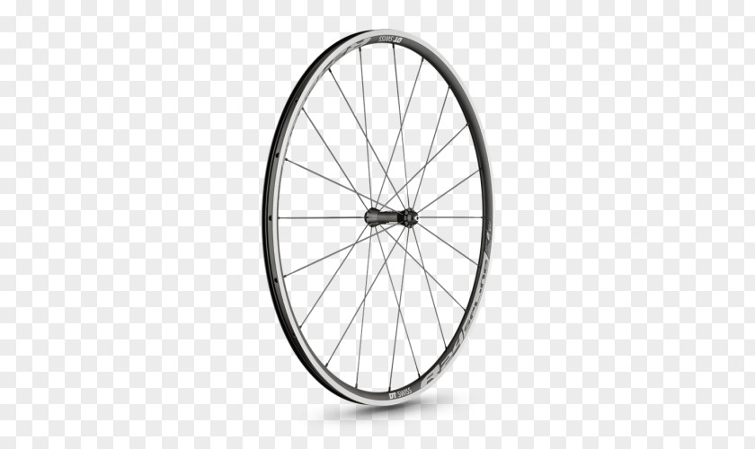 Bicycle Wheels Giant Bicycles DT Swiss R 24 Spline PNG