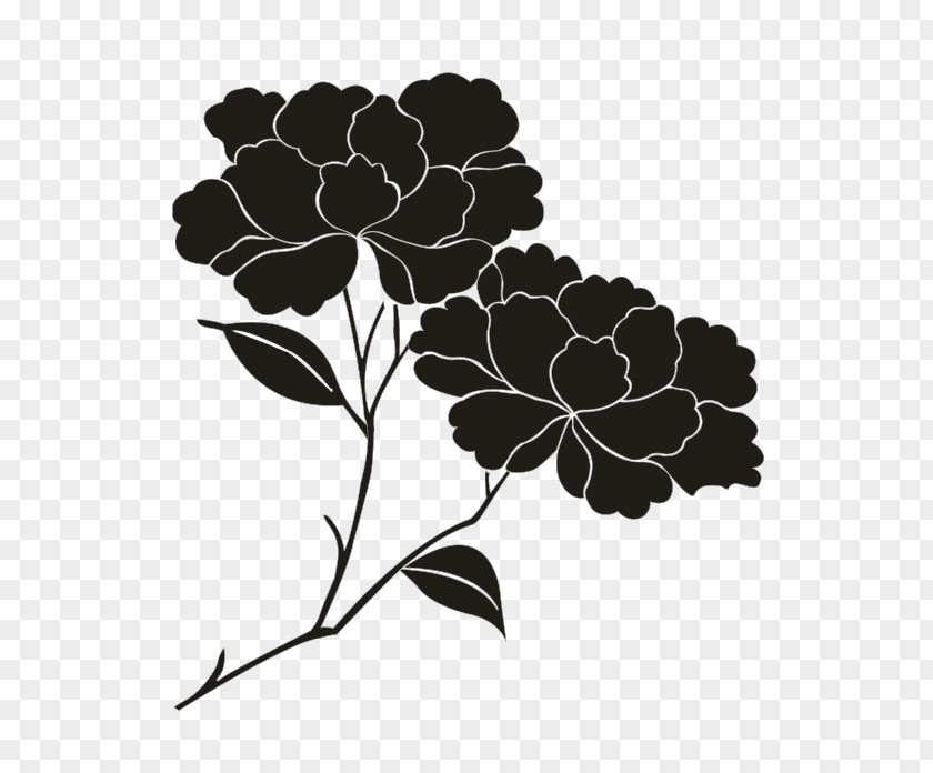 Oakleaf Hydrangea Petal Black Floral Design Pattern PNG