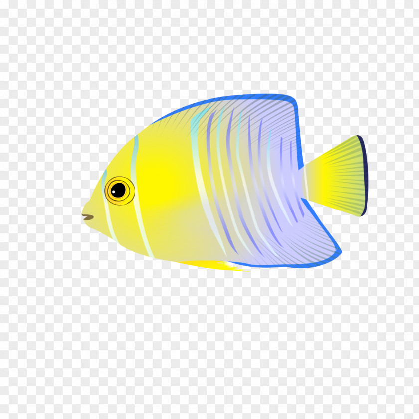 Swimming Fish PNG