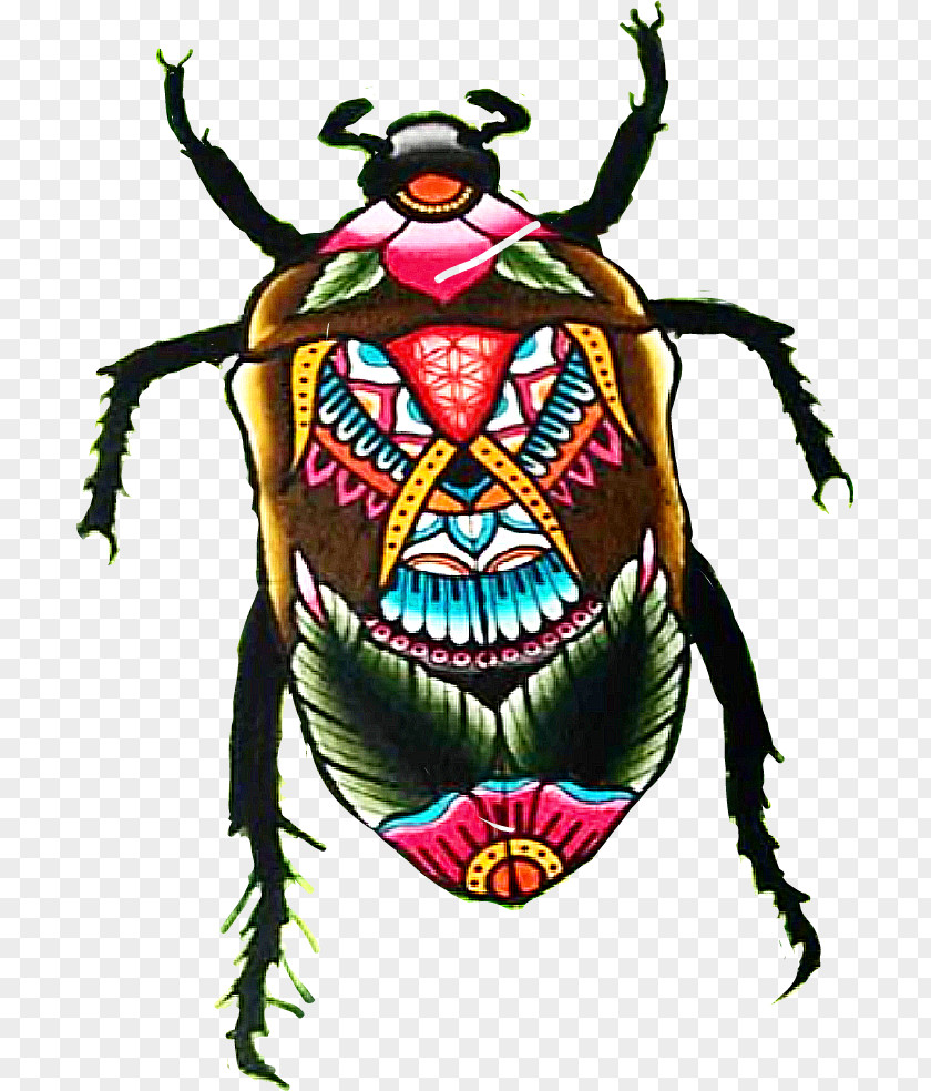 Blowflies Ground Beetle Insect PNG