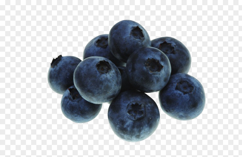 Blueberry Fruit Bilberry Huckleberry Auglis Food PNG