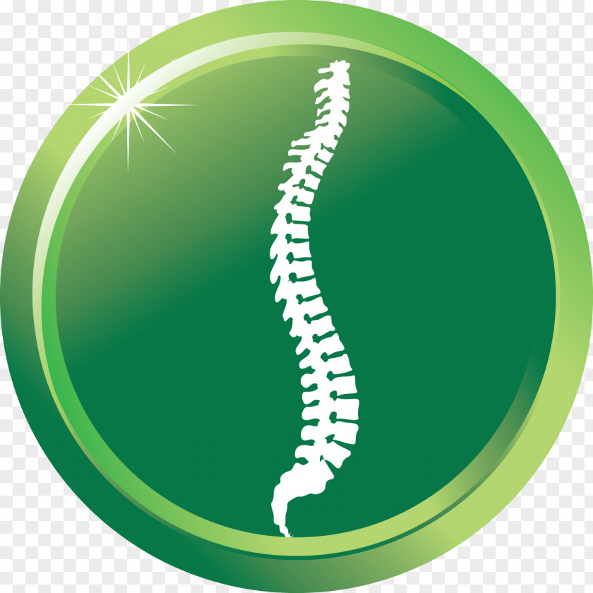 Chiropractic Treatment Techniques Chiropractor Health Care Back Pain PNG