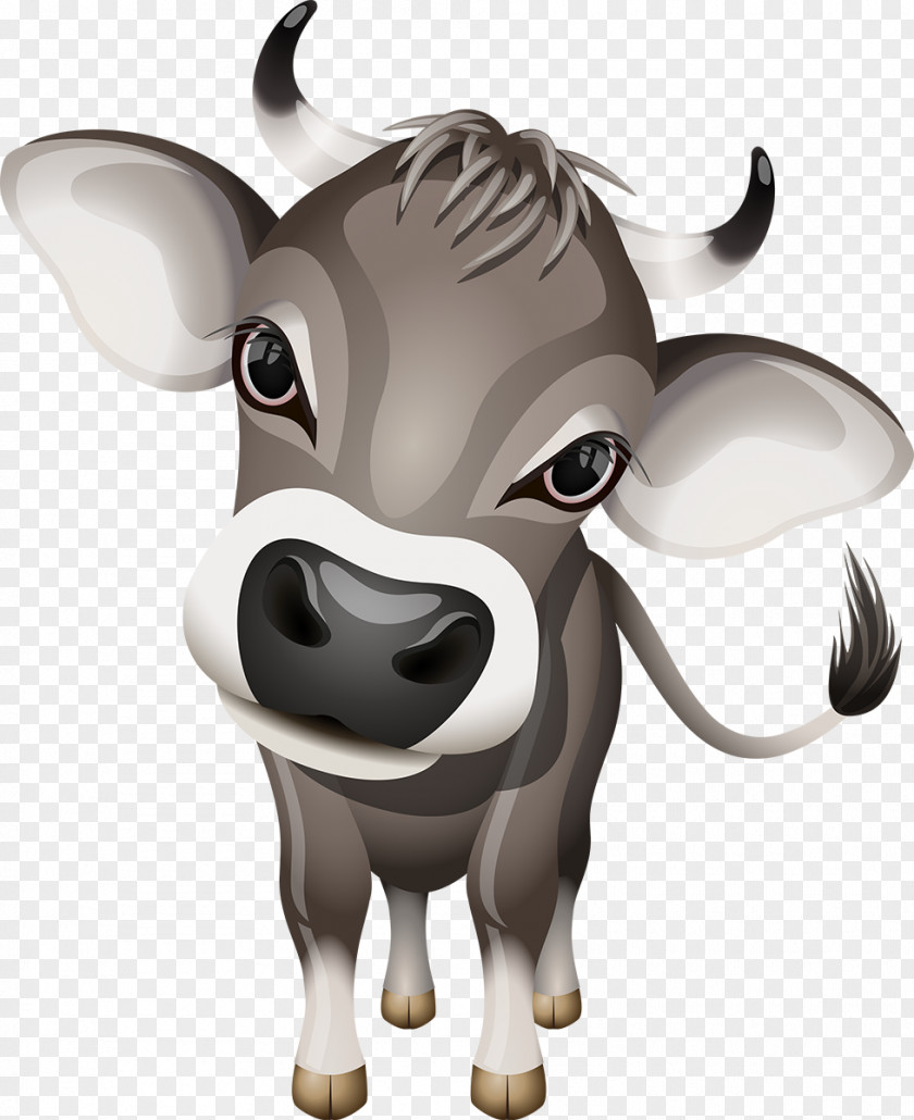 Cow Jersey Cattle Calf Royalty-free Stock Photography PNG