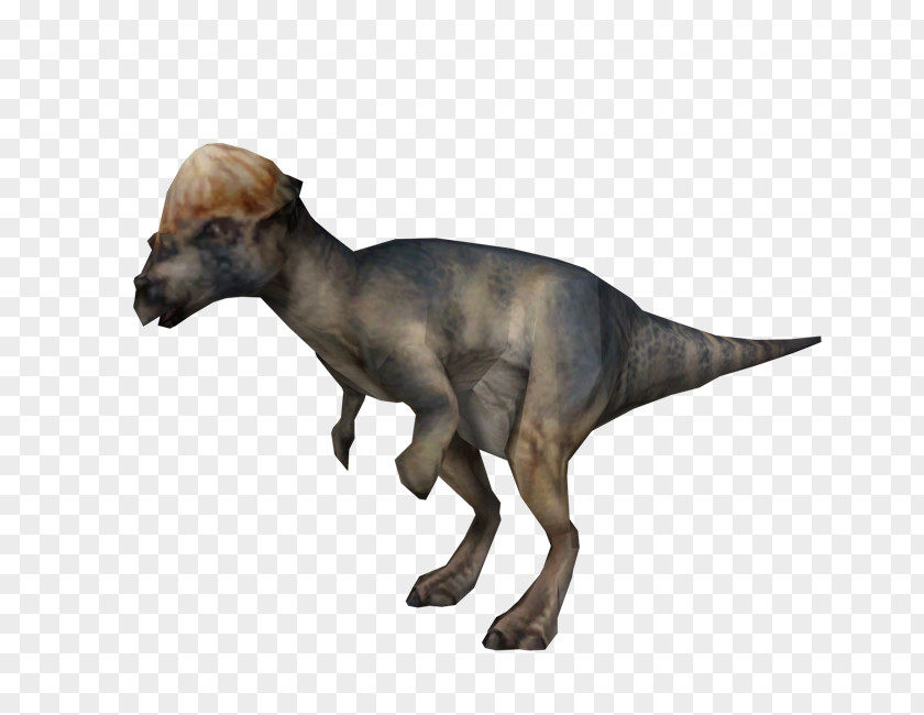Dinosaur Jurassic Park: Operation Genesis Pachycephalosaurus Warpath: Park Homalocephale Tyrannosaurus PNG