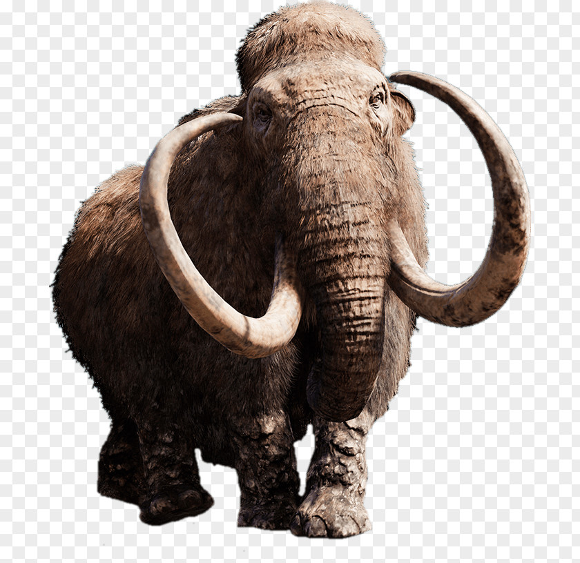 Far Cry Primal 4 Woolly Mammoth 5 Video Game PNG