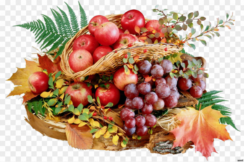 Fruits Basket Savior Of The Apple Feast Day Food Drying Preservative Dehydrators PNG