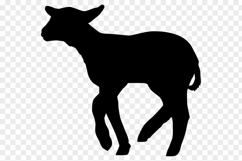 Mustang Cattle Goat Mammal Pack Animal PNG