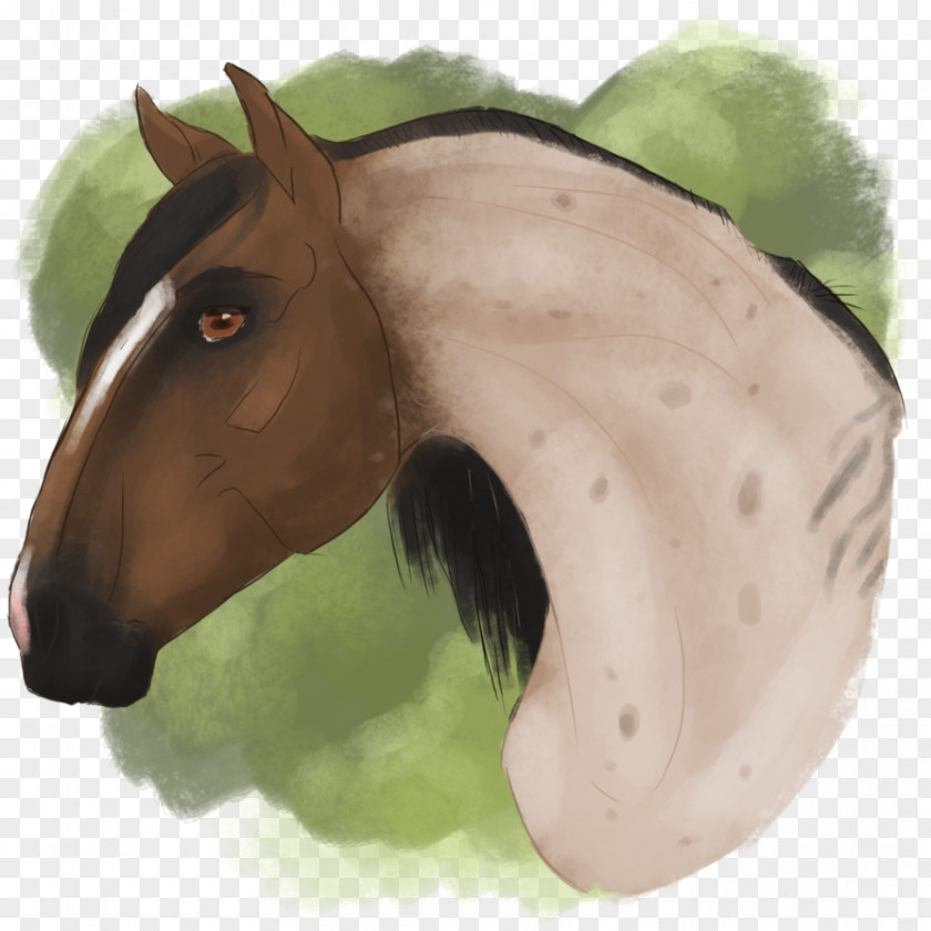 Mustang Drawing Mare Halter Stallion PNG