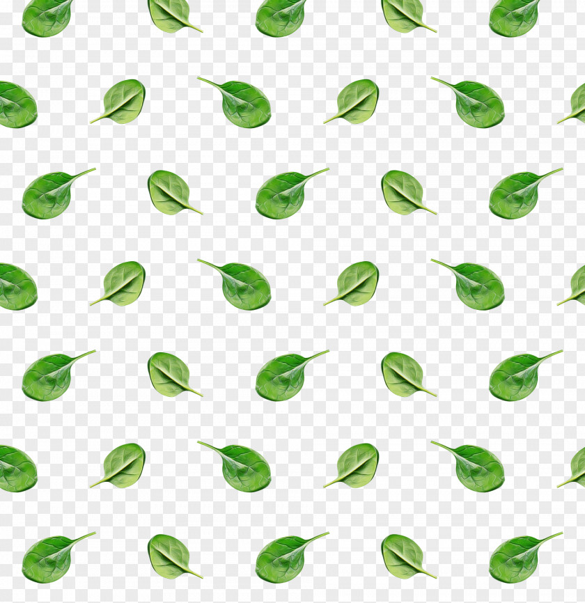 Plant Leaf Green Pattern Line PNG