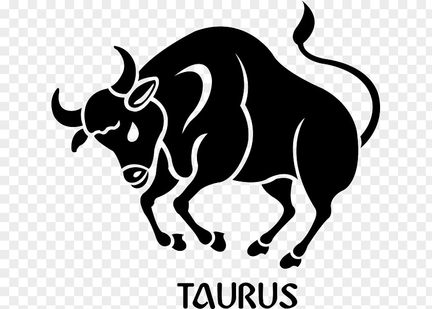 Taurus Photo Astrological Sign Zodiac Horoscope Astrology PNG