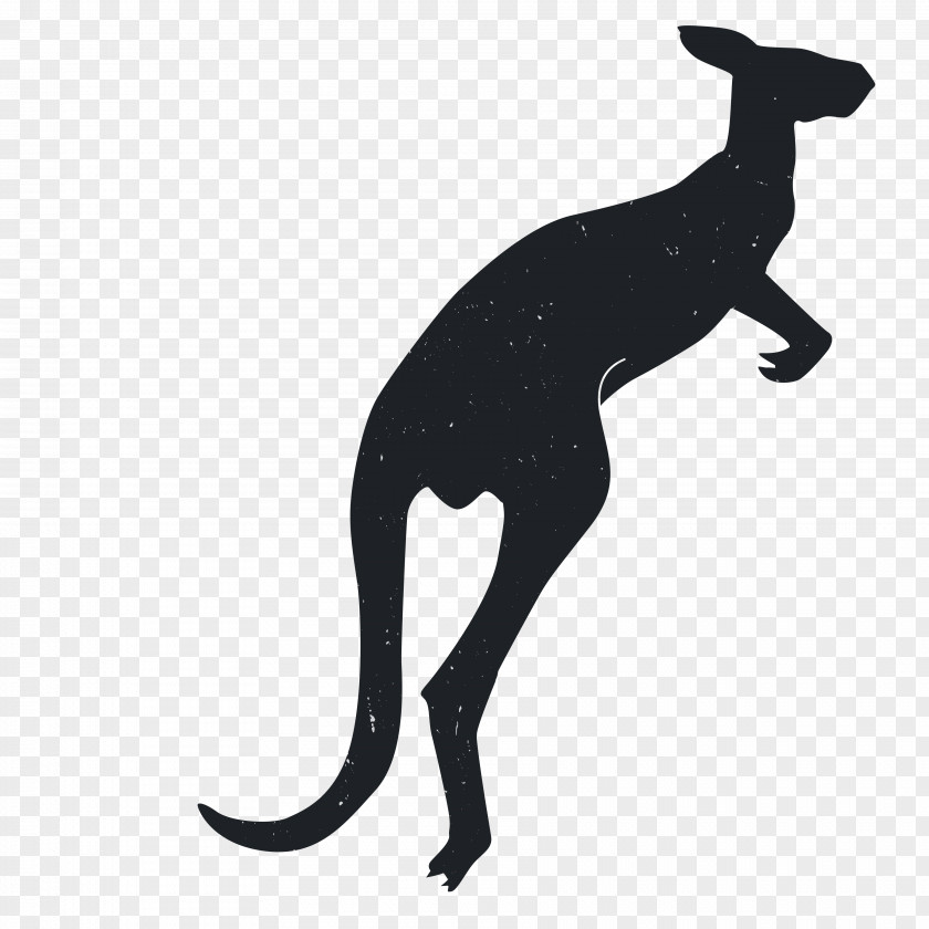 Animal Silhouettes Dog Silhouette Kangaroo PNG
