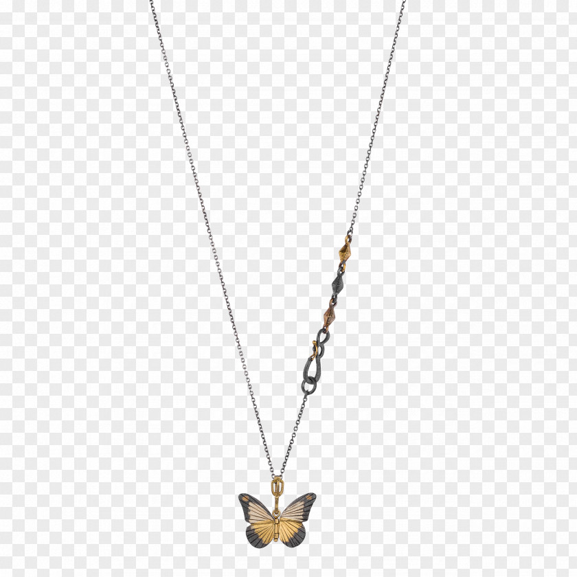 Albatross Necklace Jewellery Charms & Pendants Locket Amazon.com PNG