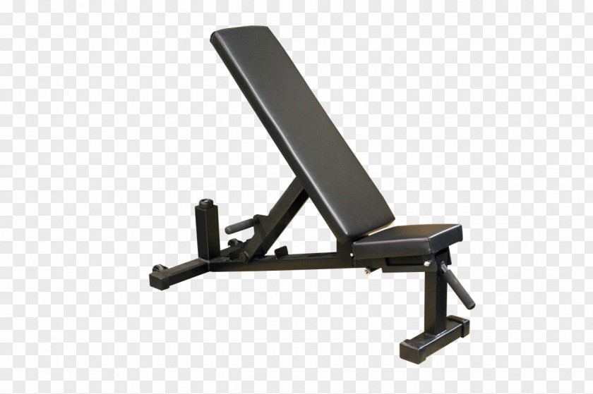 Dumbell Bench Exercise Equipment Machine Fitness Centre Physical PNG