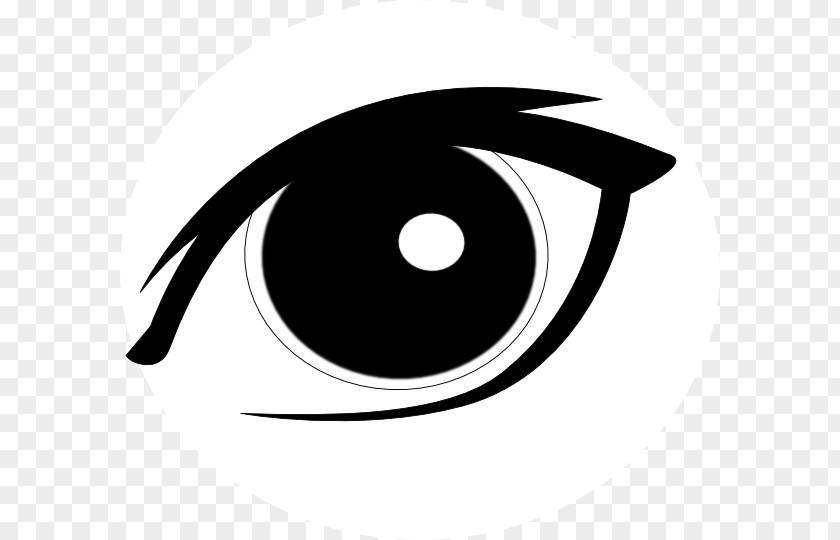 Eye Human Iris Clip Art PNG