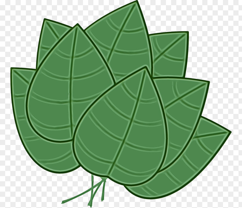 Ivy Flower PNG