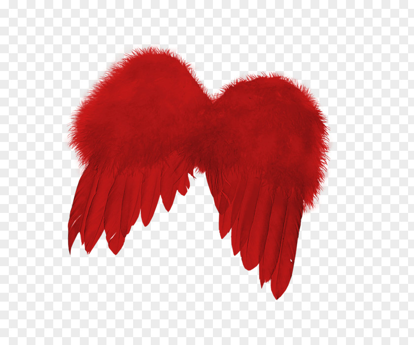 Red Wings Feather PNG