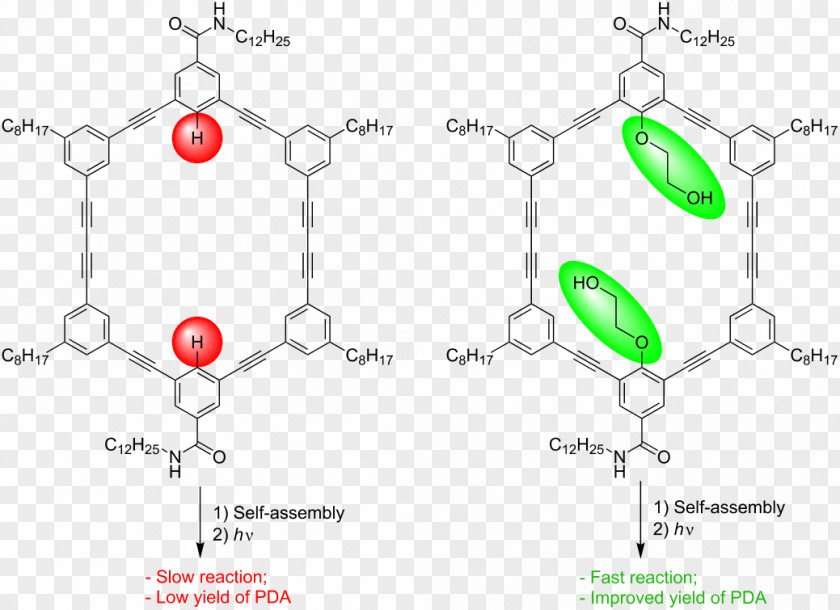 Abstract Figure Shows Macrocycle Porphyrin Self-assembly Phenylacetylene Chemical Synthesis PNG