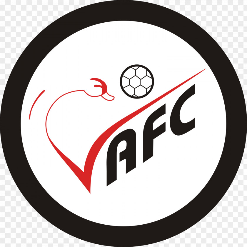 Football Valenciennes FC Chamois Niortais F.C. France Ligue 1 PNG