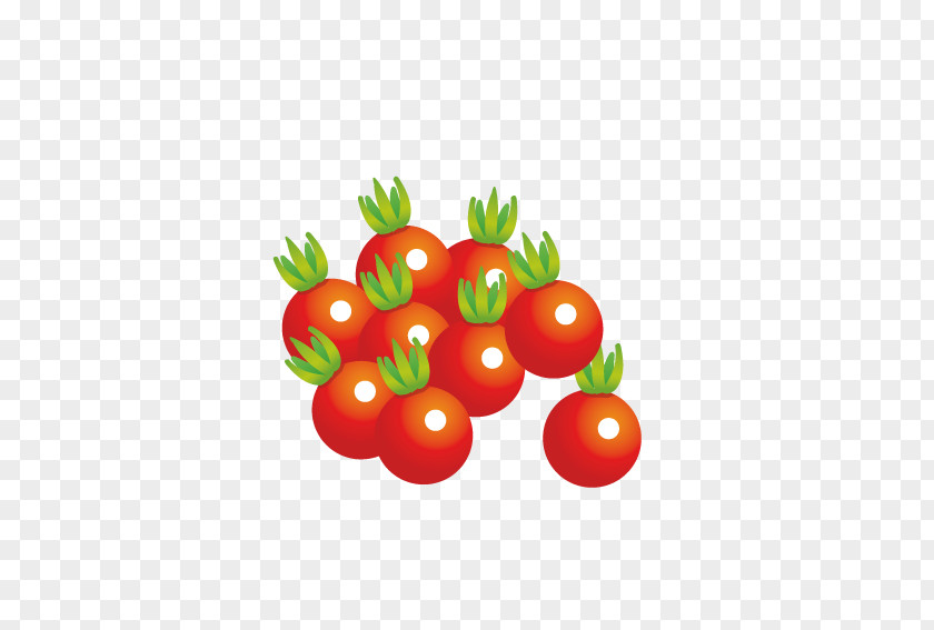 Fresh Tomatoes Juice Cherry Tomato Vegetarian Cuisine Vegetable Fruit PNG