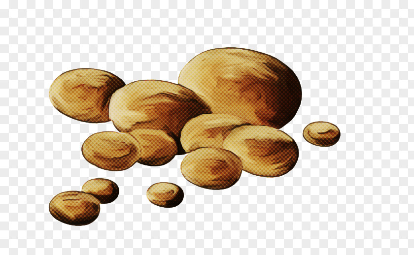 Ingredient Plant Food Nut Hazelnut Nuts & Seeds PNG