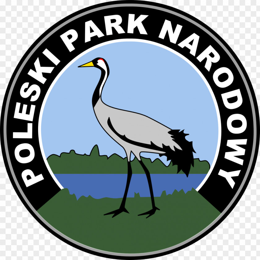 Park Polesie National Bieszczady Kozienice Landscape Brodnica PNG