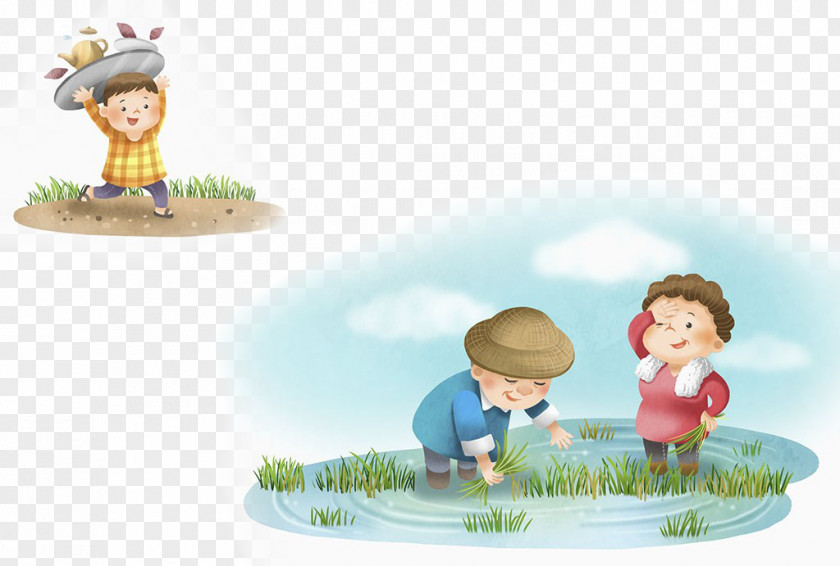 Field Vector Paddy Illustration PNG