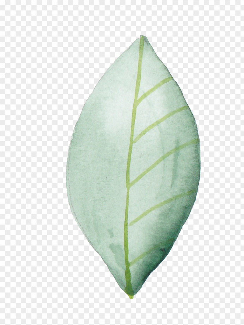 Foliage Leaf Painting Image Design Green PNG