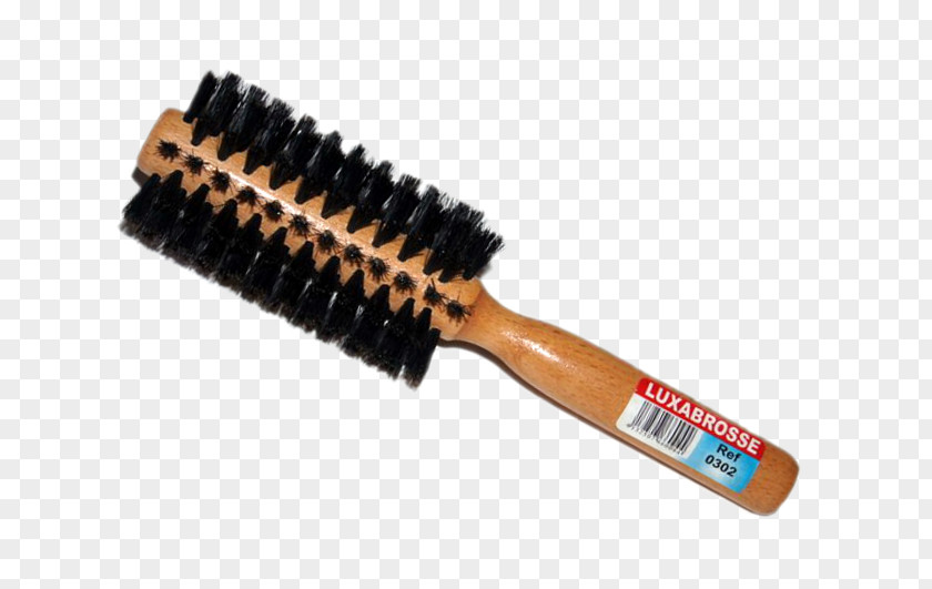 Hair Hairbrush Cosmetics Capelli PNG