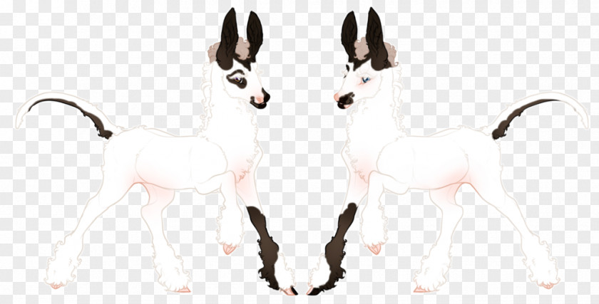 Hind Horse Cat Neck Tail Wildlife PNG