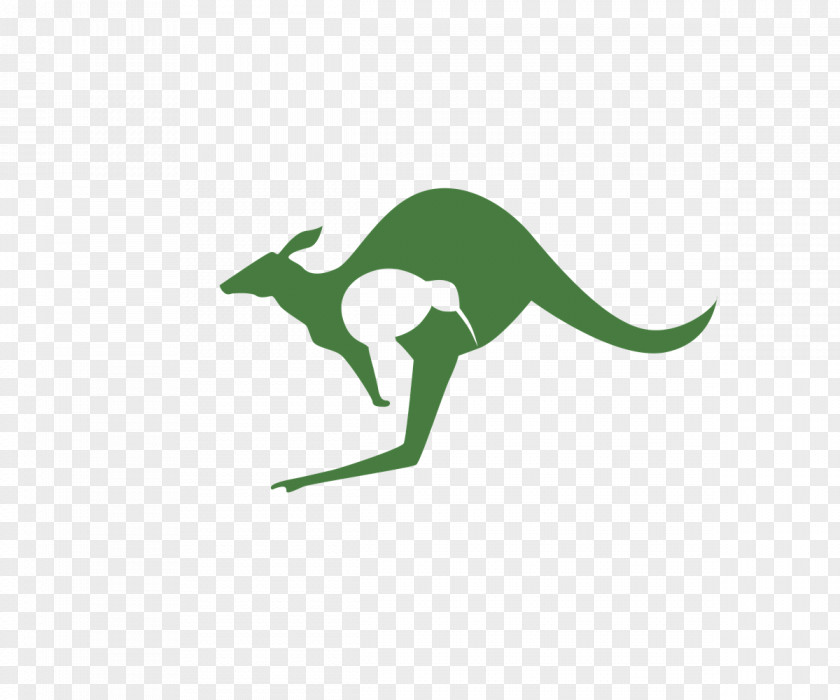 Kangaroo Clip Art Illustration Logo Shutterstock PNG