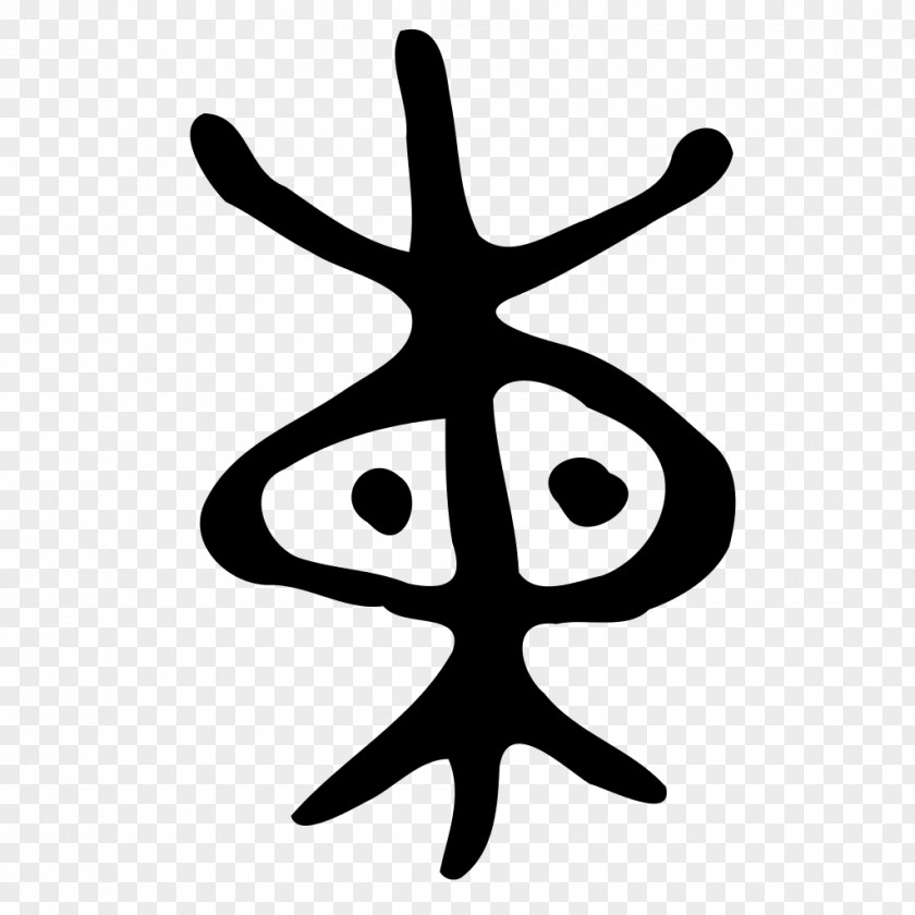 Bronze Oracle Bone Script Faculty 时光网 Professional Information PNG