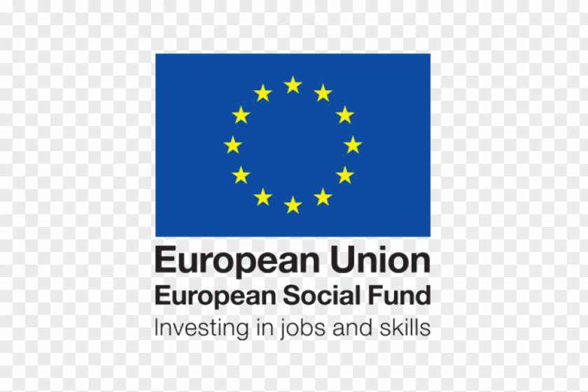 Carnival Flag European Union Directorate-General For Civil Protection And Humanitarian Aid Operations Social Fund PNG