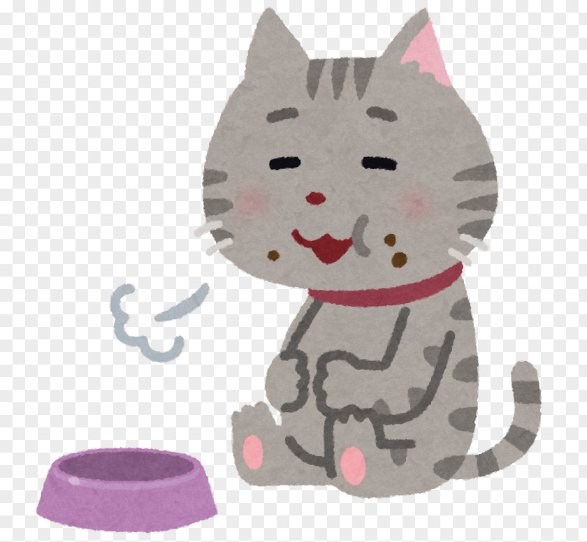 Cat Food Kitten Pet Meal PNG