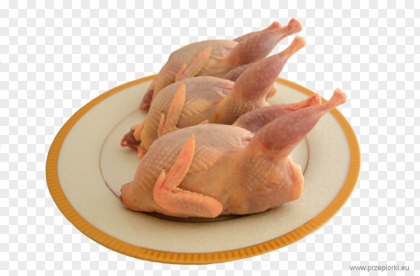 Chicken White Cut Pig's Ear Turkey Meat Recipe PNG