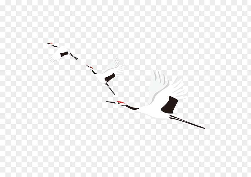 Crane Fly Row Download Euclidean Vector Icon PNG