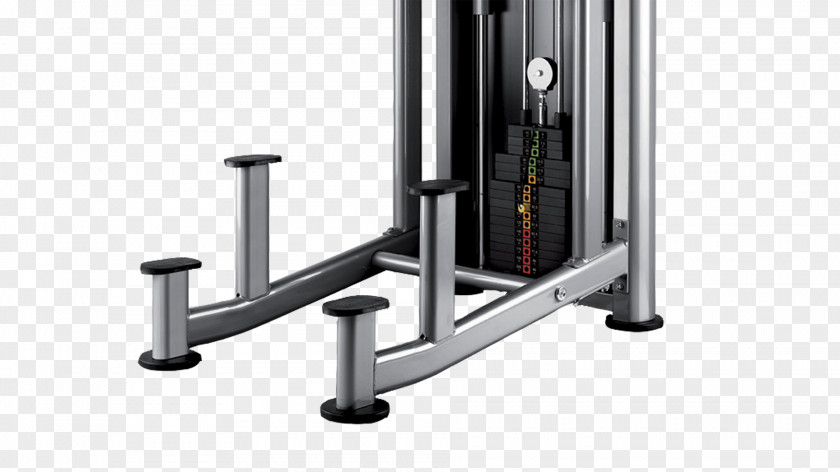 Environmental Chin Pull-up Bodybuilding Dip Physical Fitness Centre PNG